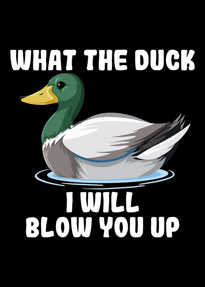 Funny Duck Hunting