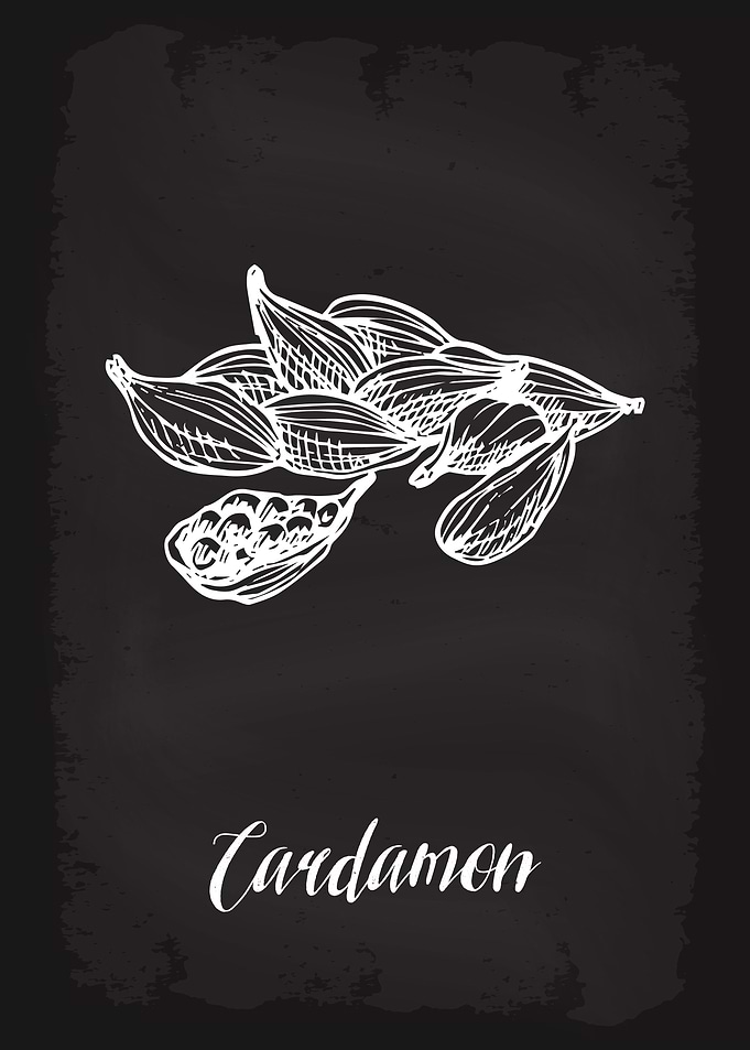 Kitchen Herbs Cardamon