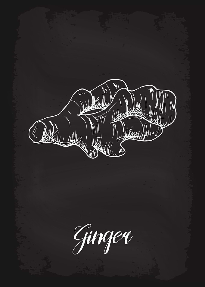 Kitchen Herbs Ginger