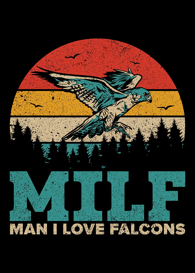 Falcon Retro