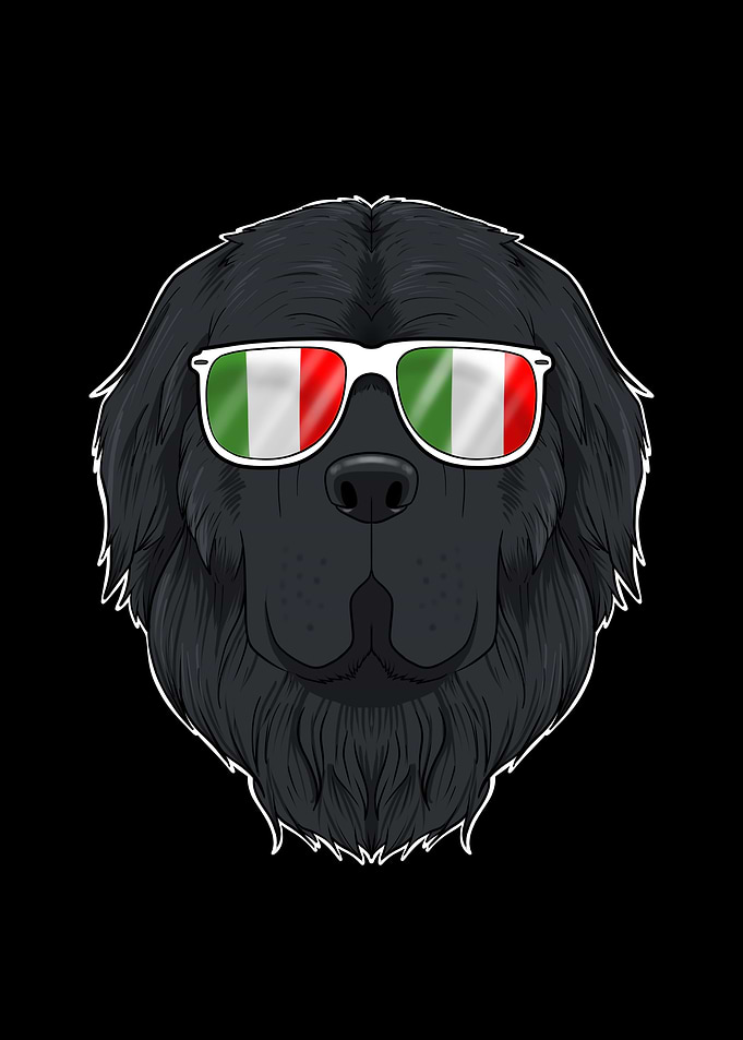Newfoundland Italy