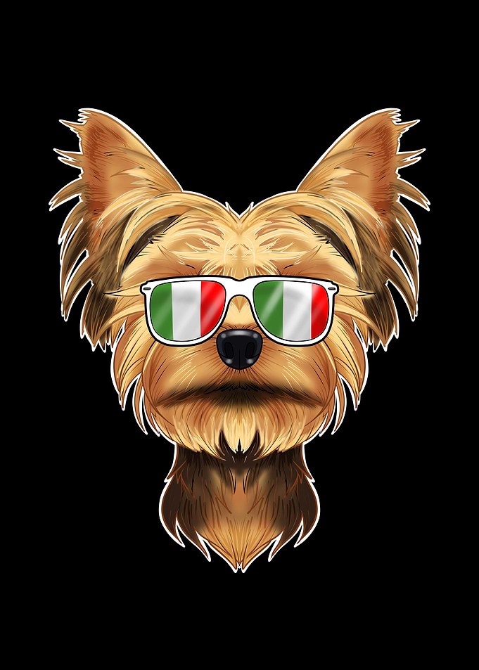 Yorkshire Terrier Italy