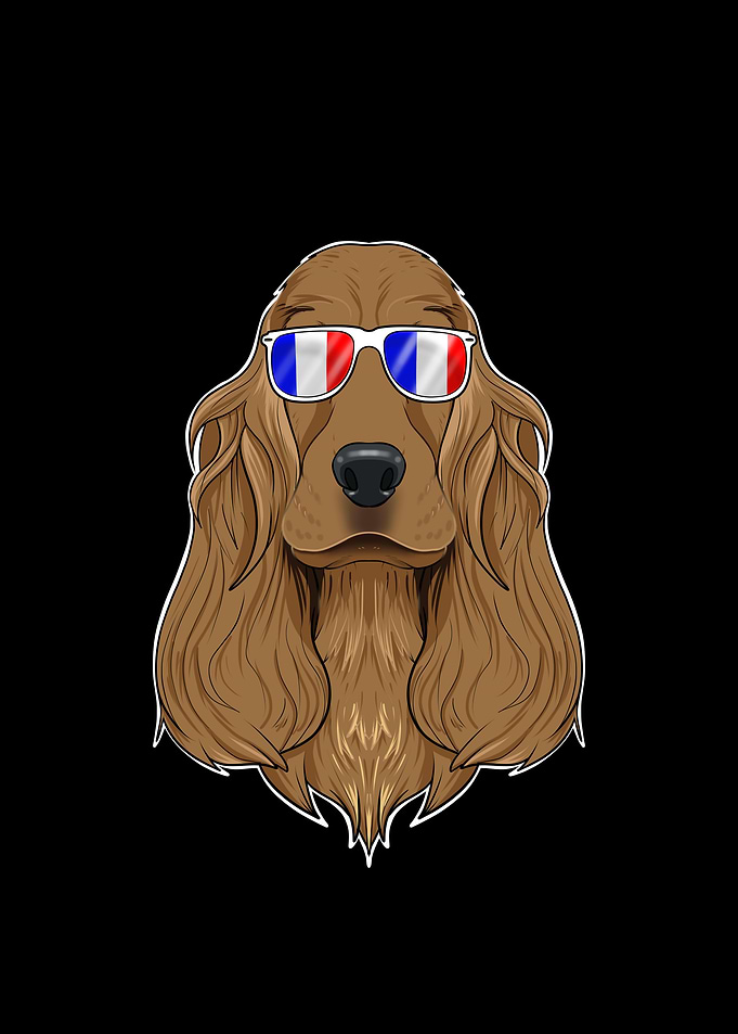 Cocker Spaniel France