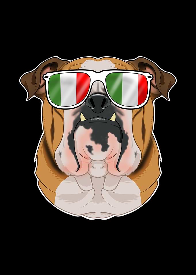 English Bulldog Italy