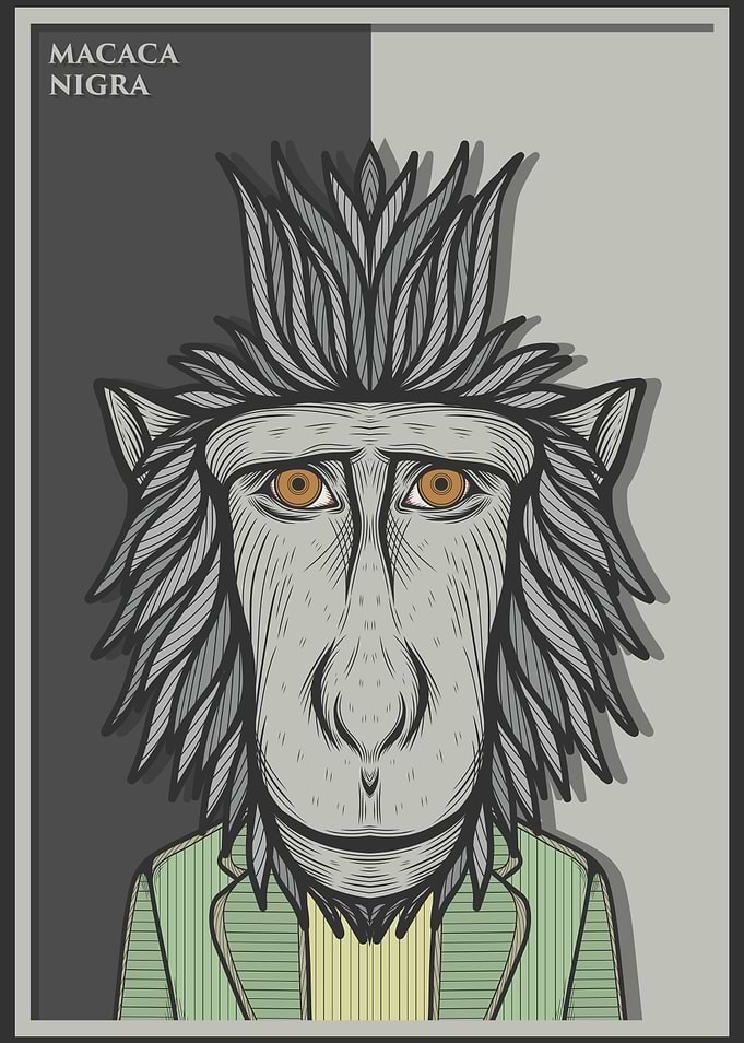 Black Crested Macaque