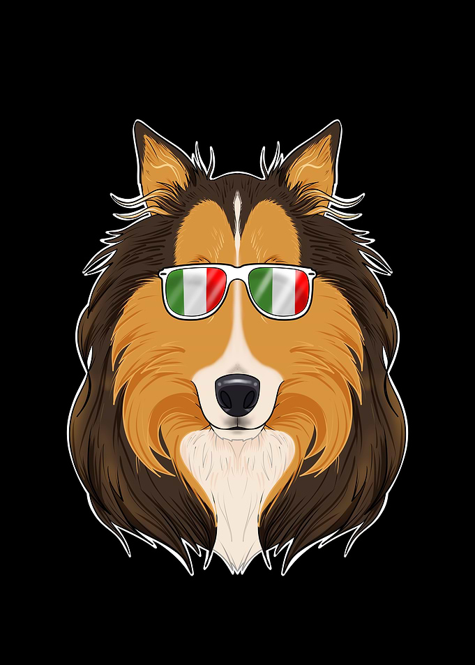 Collie Italy Sunglasses