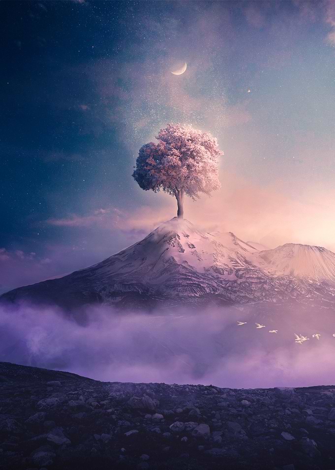 Eternal Tree