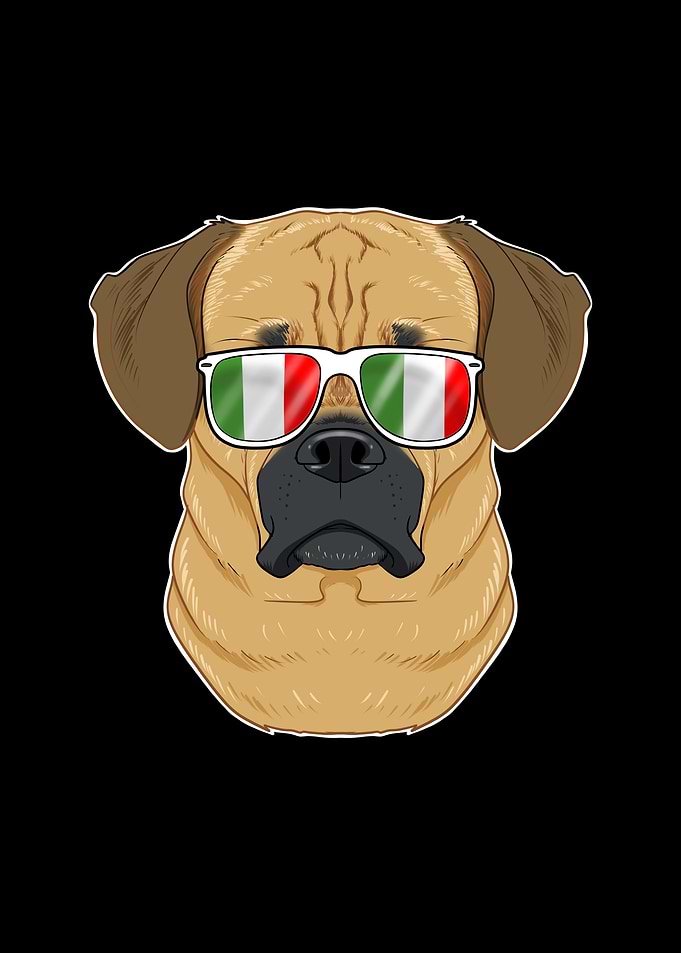 Puggle Italy Sunglasses
