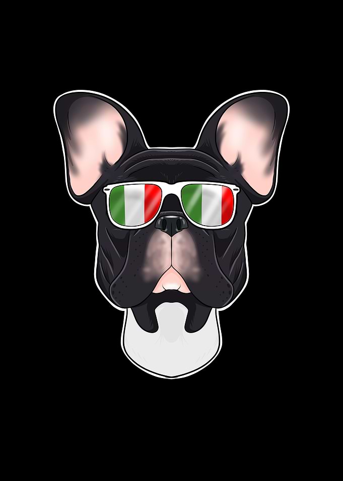 French Bulldog Italy