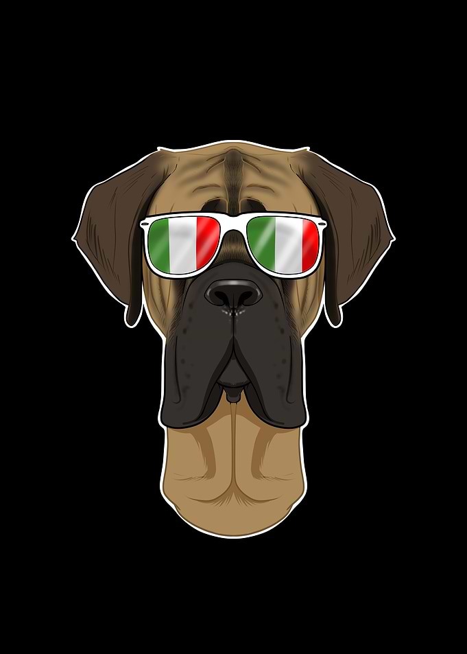 Mastiff Italy Sunglasses