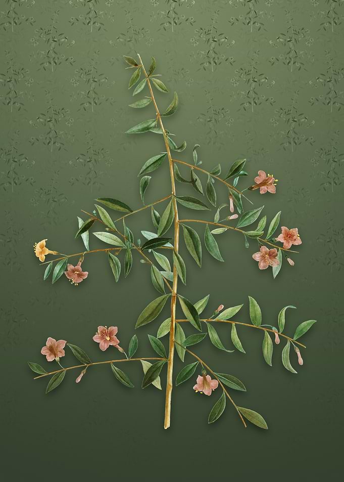 Goji Berry on Lunar Green
