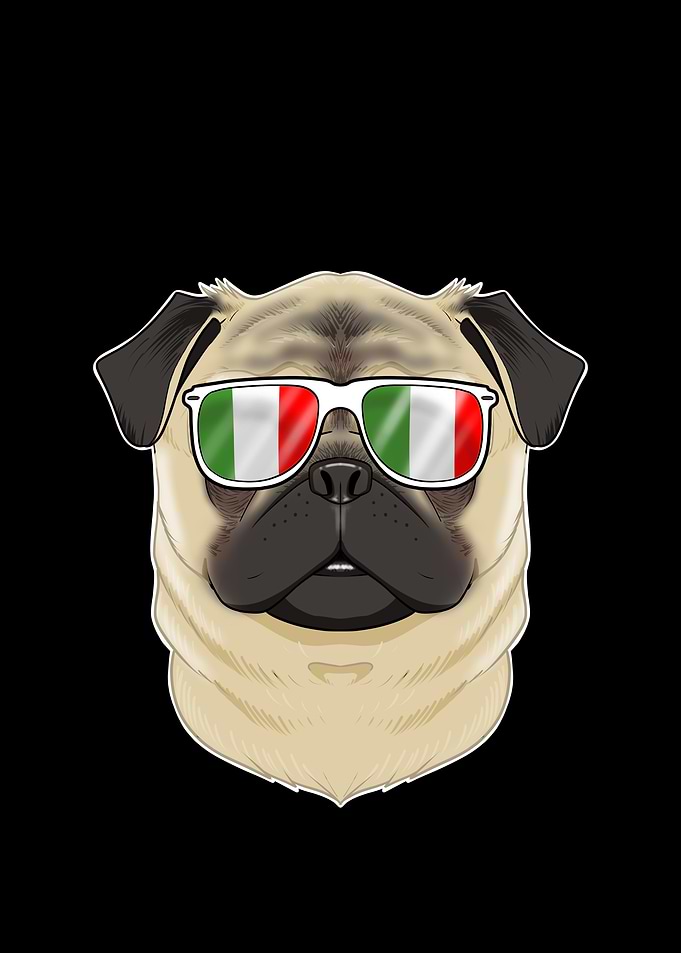 Pug Italy Sunglasses
