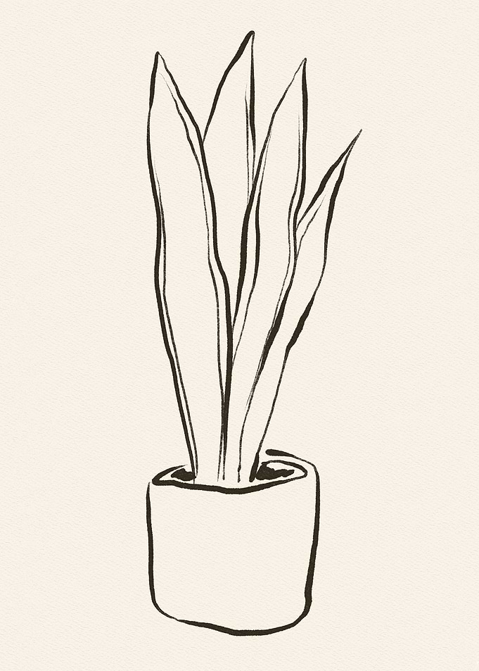 Plant Pot