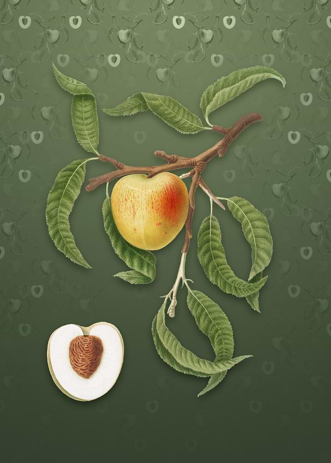Peach on Lunar Green