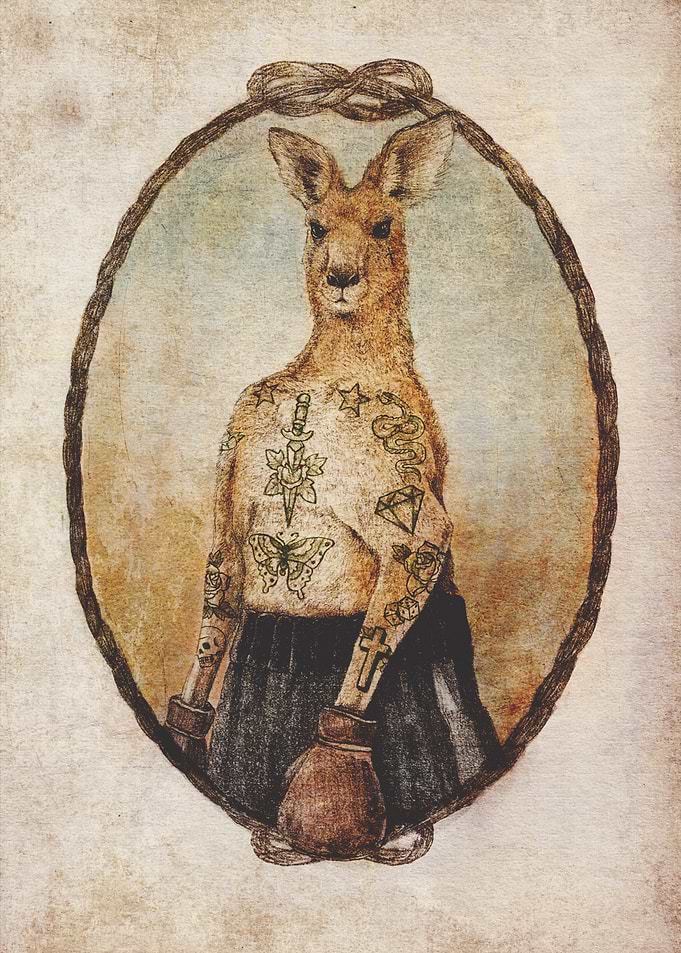 Australian Boxer