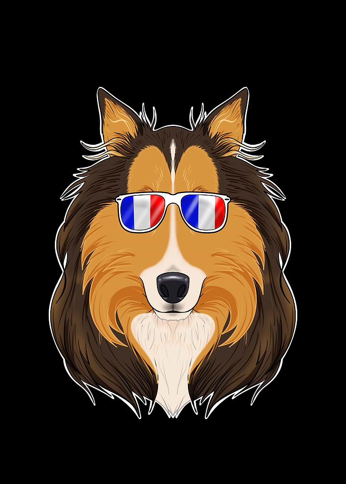 Collie France Sunglasses