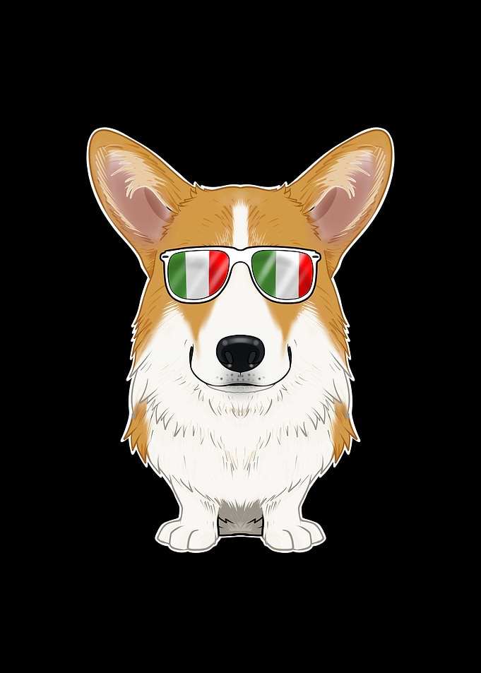Welsh Corgi Italy