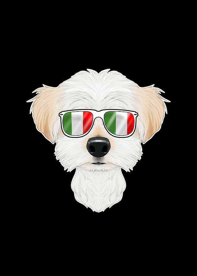 Maltese Italy Sunglasses