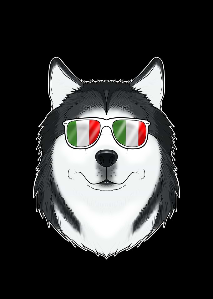 Husky Italy Sunglasses