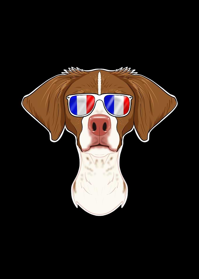 Brittany France Sunglasses