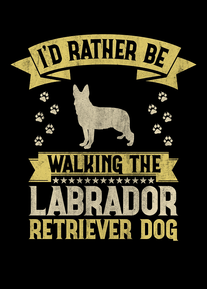 Labrador Retriever
