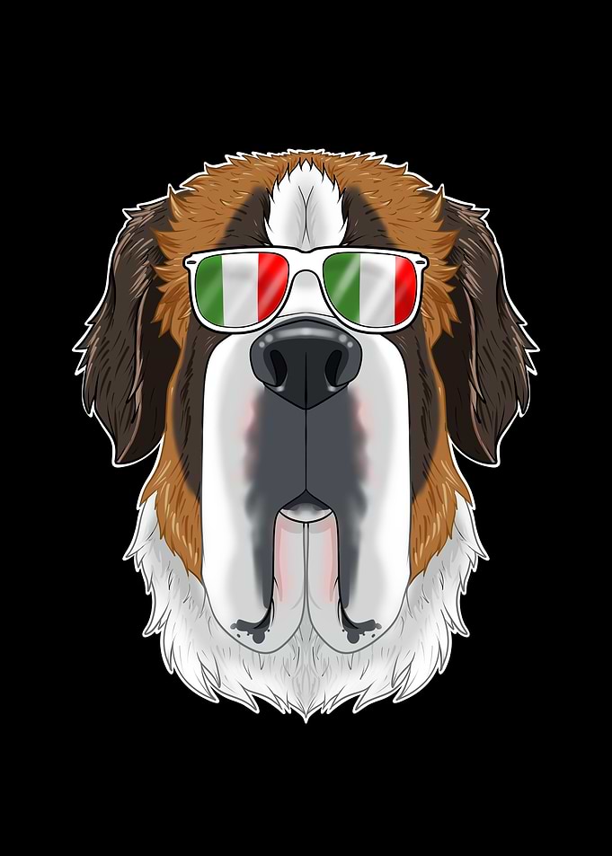 Saint Bernard Italy