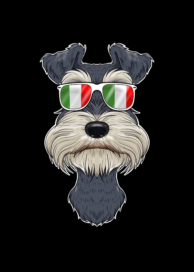 Miniature Schnauzer Italy