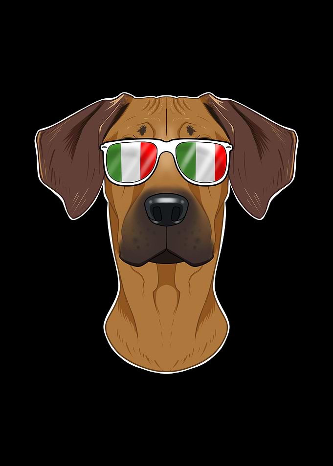 Rhodesian Ridgeback Italy