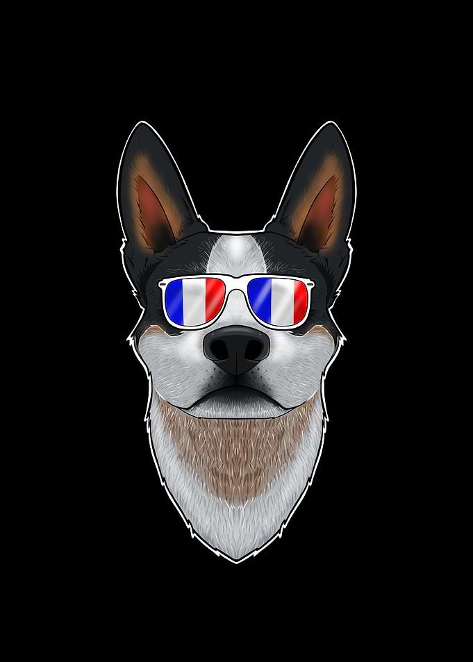 Australian Cattle Dog
