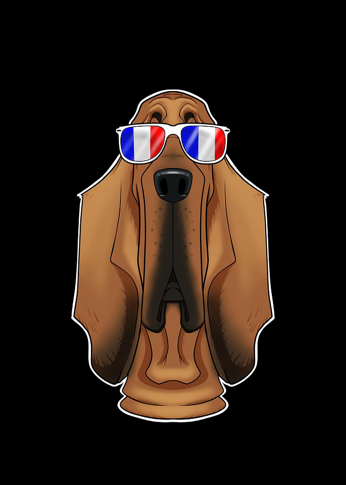 Bloodhound France