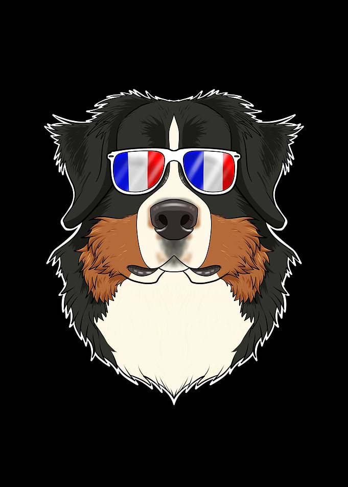 Bernese Mountain Dog