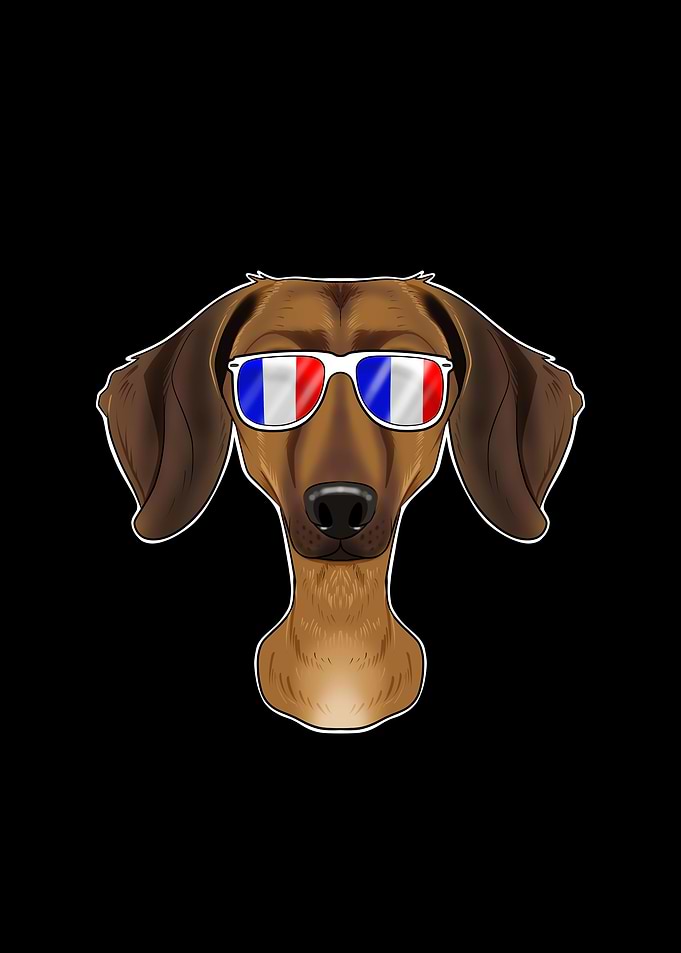 Dachshund France