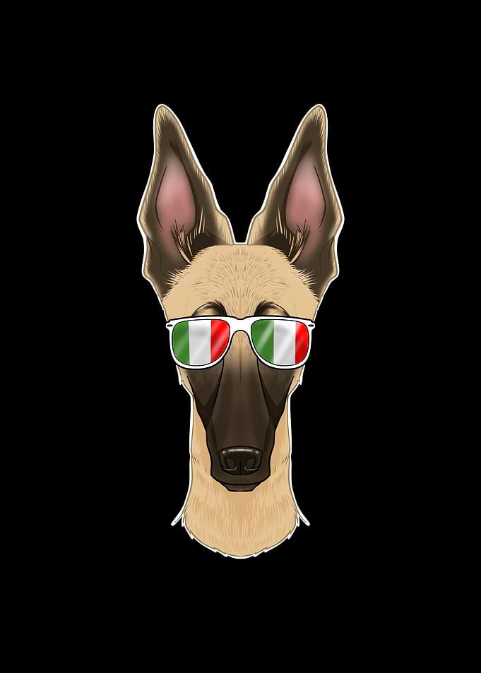 Malinois Italy Sunglasses