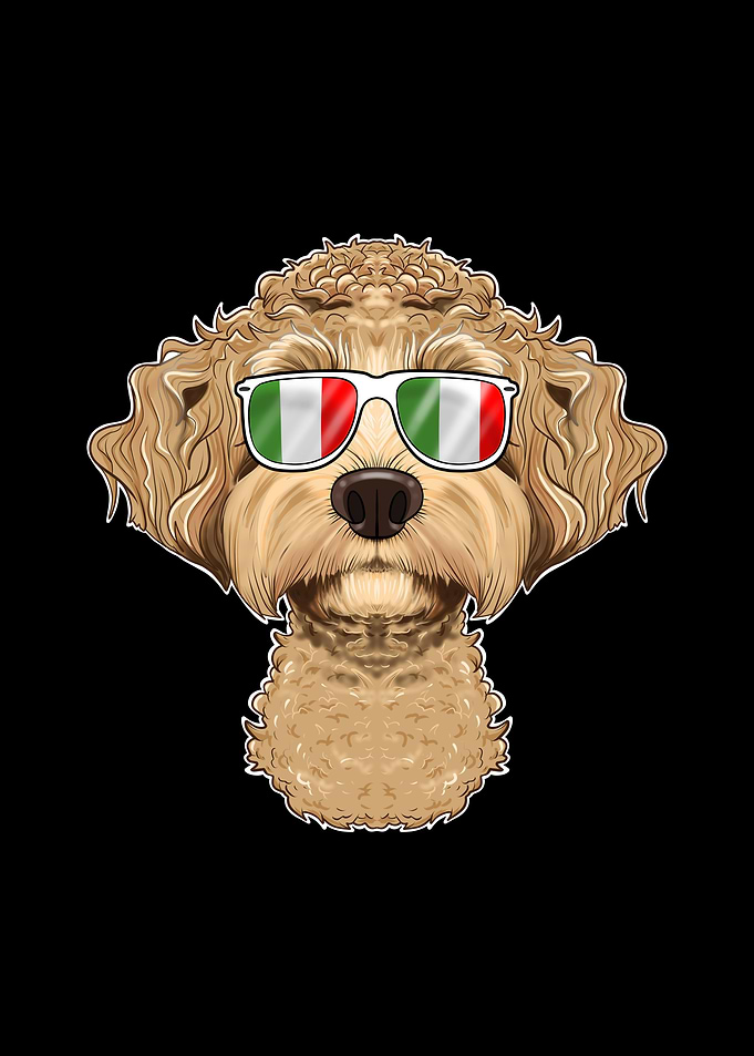 Labaradoodle Italy
