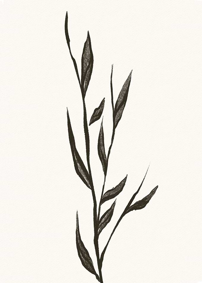 Leaves
