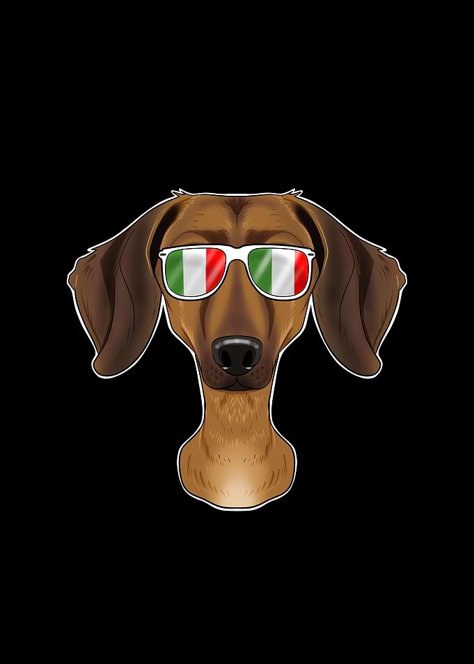 Dachshund Italy Sunglasses