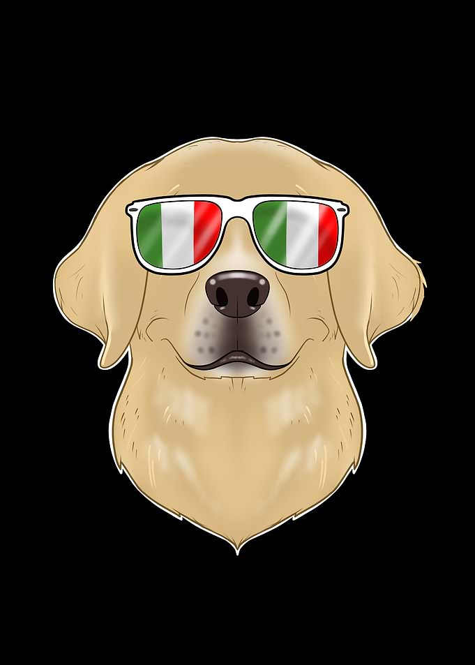 Labrador Italy Sunglasses
