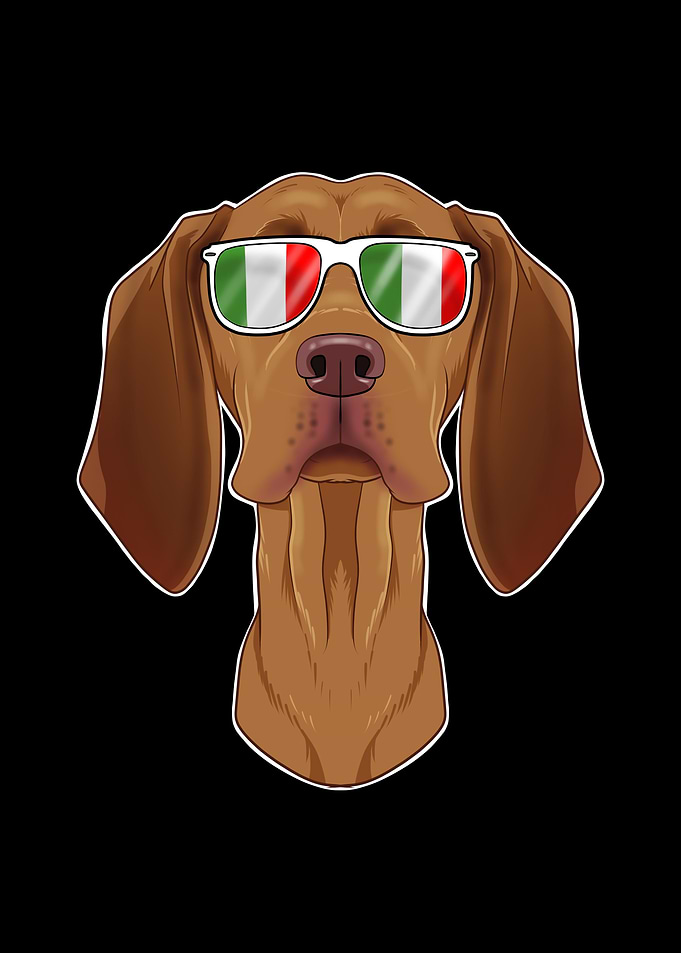 Vizsla Italy Sunglasses