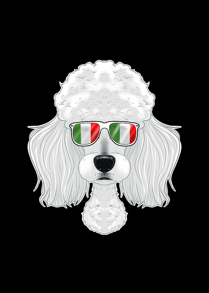Poodle Italy Sunglasses
