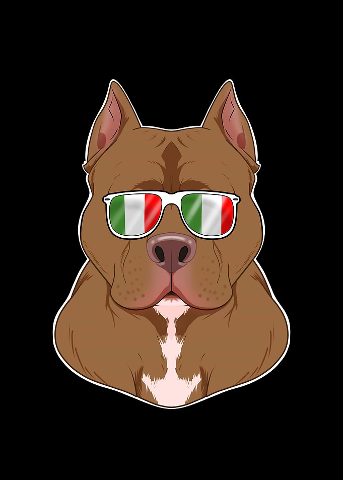 Pitbull Italy Sunglasses