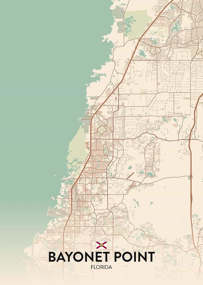 Bayonet Point FL