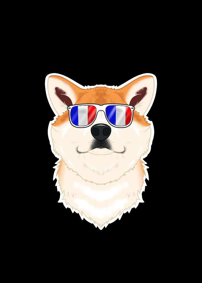 Akita Inu France
