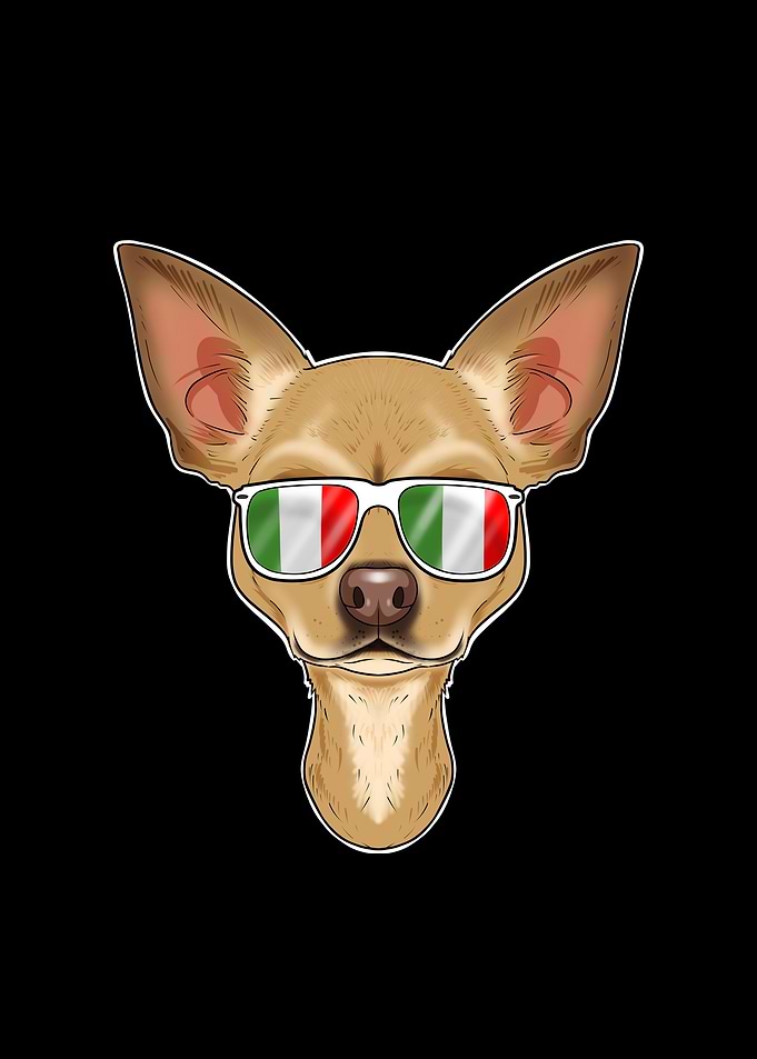 Chihuahua Italy Sunglasses