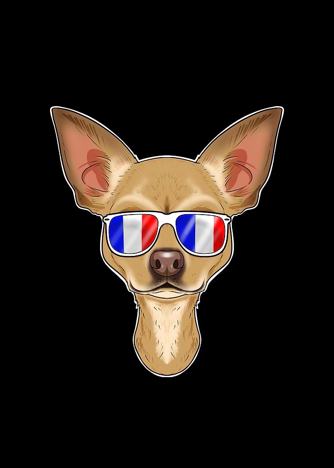 Chihuahua France