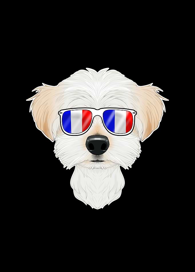 Maltese France Sunglasses
