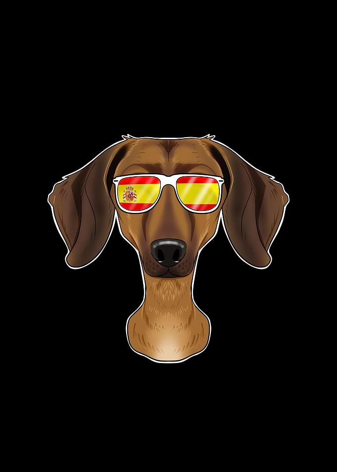 Dachshund I Spain