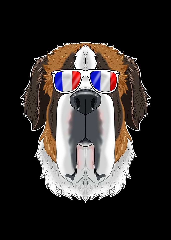 Saint Bernard France