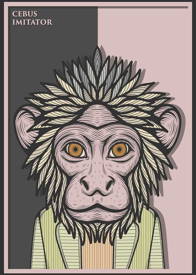 Panamanian Capuchin Monkey