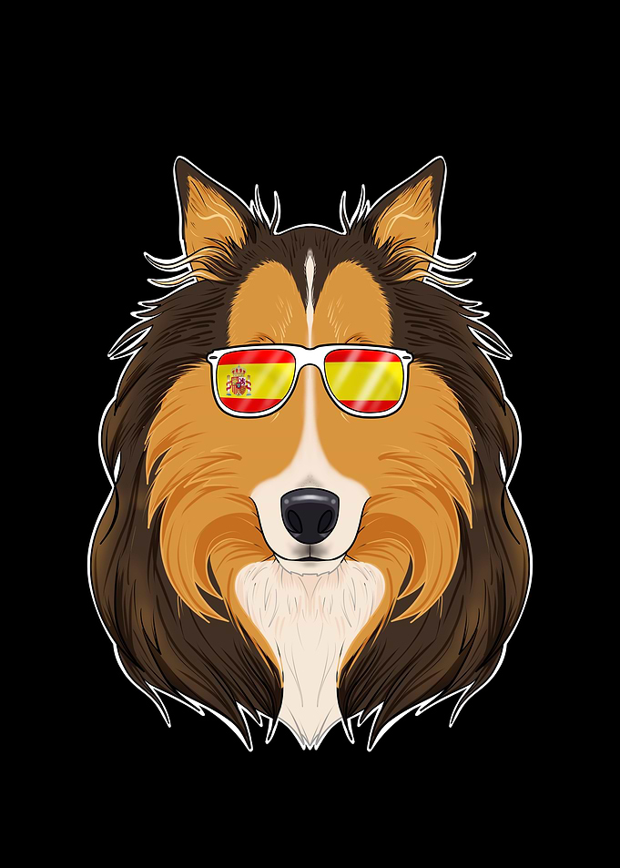 Collie I Spain Sunglasses