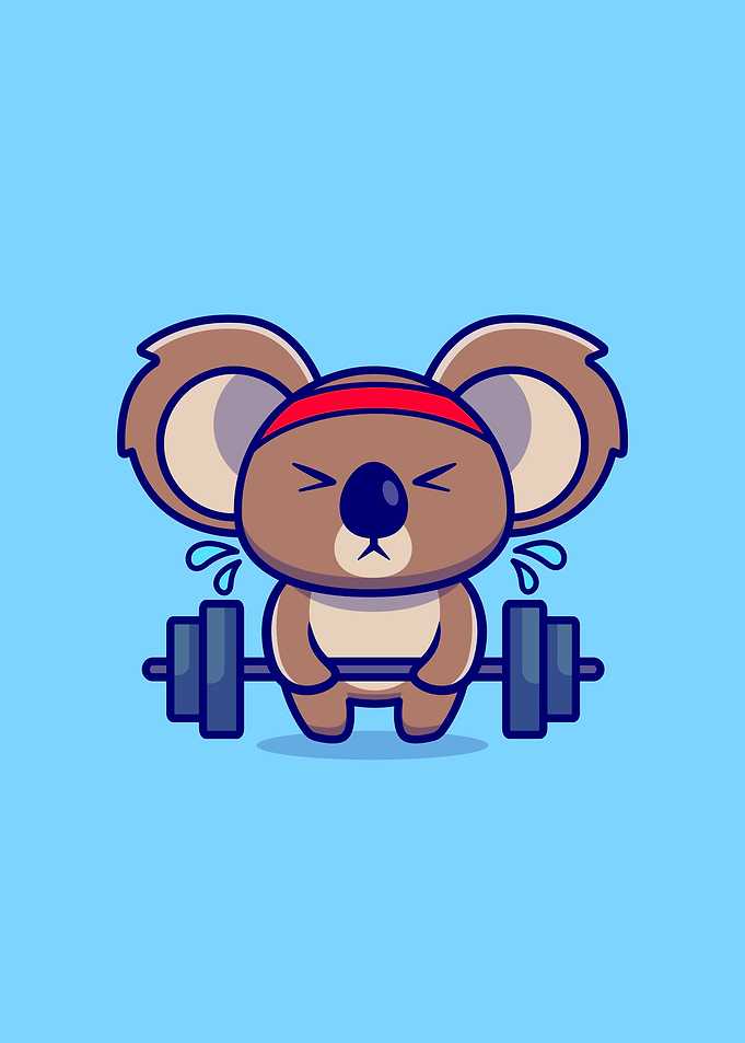 koala lifting barbell